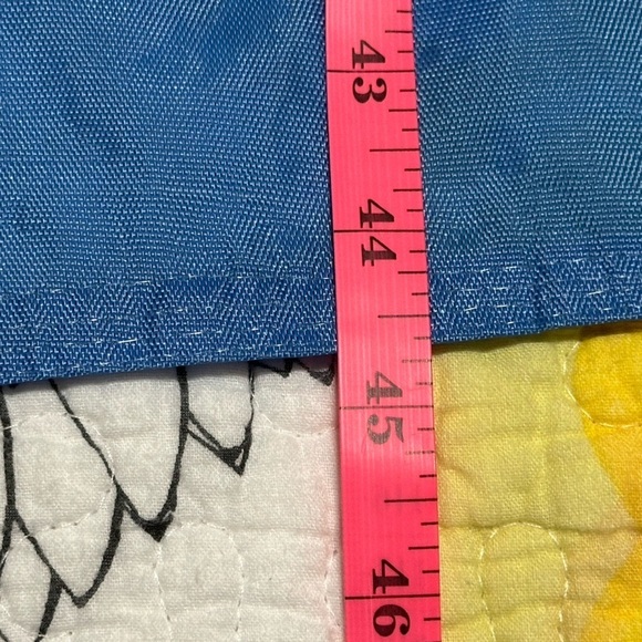 Happy turkey with fruits/veggies large flag to celebrate Thanksgiving! - Picture 2 of 5